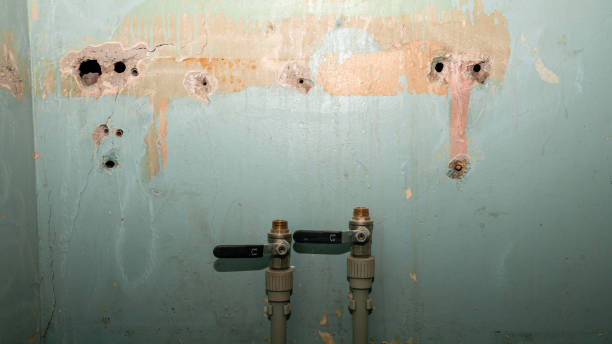 Best Flooded house restoration  in Pompton Lakes, NJ