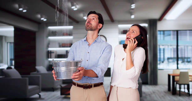 Best Carpet water damage restoration  in Pompton Lakes, NJ